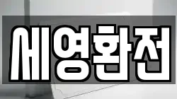 세영환전