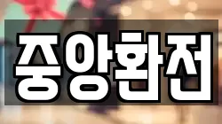 중앙환전