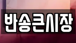 반송큰시장