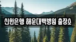 신한은행 해운대백병원 출장소