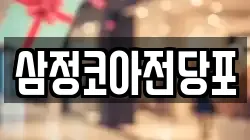 삼정코아전당포