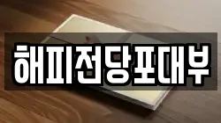 해피전당포대부