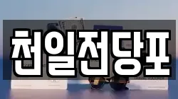 천일전당포