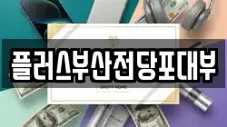 플러스부산전당포대부