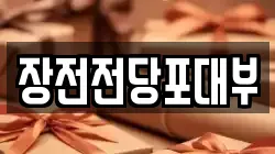 장전전당포대부