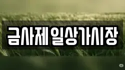 금사제일상가시장