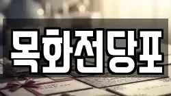 목화전당포