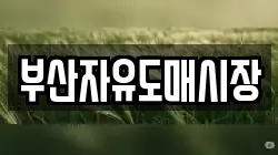 부산자유도매시장
