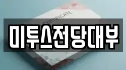 미투스전당대부