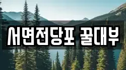 서면전당포 꿀대부