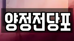 양정전당포