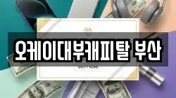 오케이대부캐피탈 부산