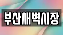 부산새벽시장