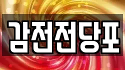 감전전당포