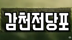 감천전당포
