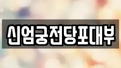 신엄궁전당포대부