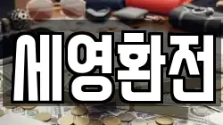 세영환전