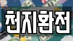천지환전