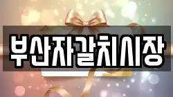 부산자갈치시장
