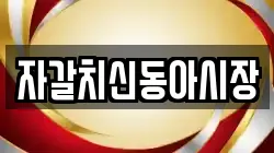 자갈치신동아시장
