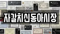 자갈치신동아시장