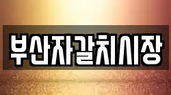 부산자갈치시장