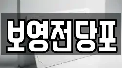 보영전당포