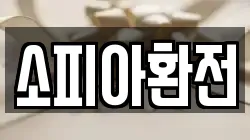 소피아환전