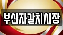 부산자갈치시장