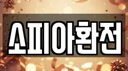 소피아환전