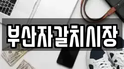 부산자갈치시장