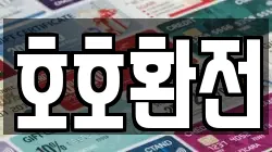 호호환전