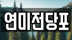 연미전당포