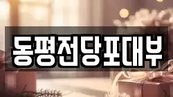 동평전당포대부