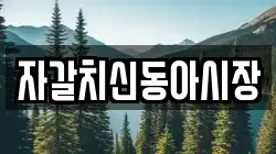 자갈치신동아시장