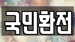국민환전
