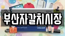 부산자갈치시장