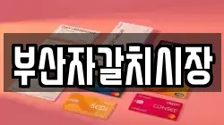 부산자갈치시장