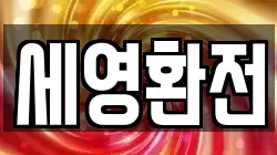 세영환전