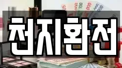 천지환전