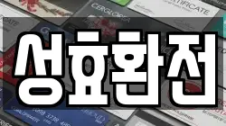 성효환전
