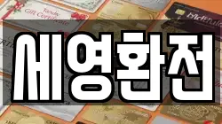 세영환전