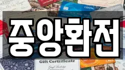 중앙환전