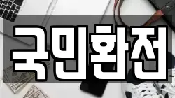 국민환전