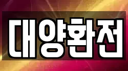 대양환전