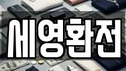 세영환전