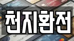 천지환전