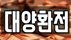 대양환전