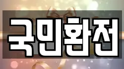 국민환전