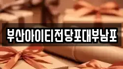 부산아이티전당포대부남포